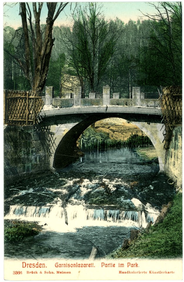 03366-Dresden-1903-Brücke im Park des Garnisonslazarettes-Brück & Sohn Kunstverlag
