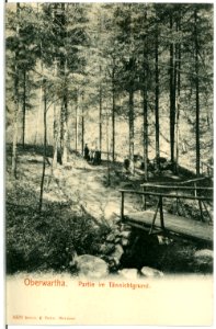 03419-Oberwartha-1903-Im Tännichtgrund-Brück & Sohn Kunstverlag