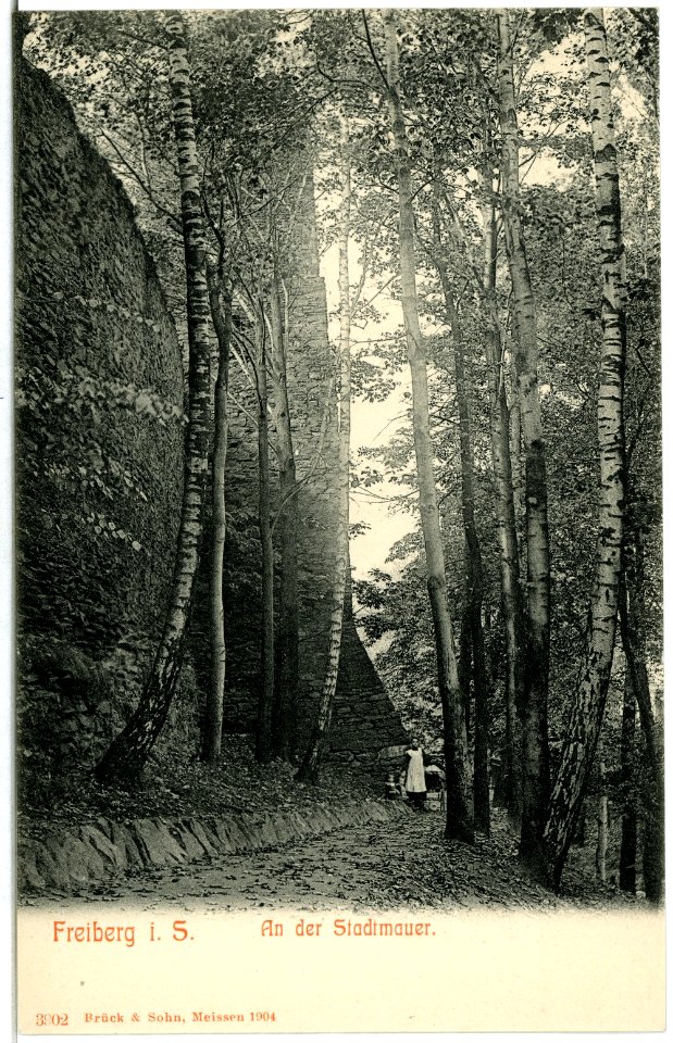 03902-Freiberg-1903-An der Stadtmauer-Brück & Sohn Kunstverlag