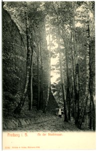 03902-Freiberg-1903-An der Stadtmauer-Brück & Sohn Kunstverlag