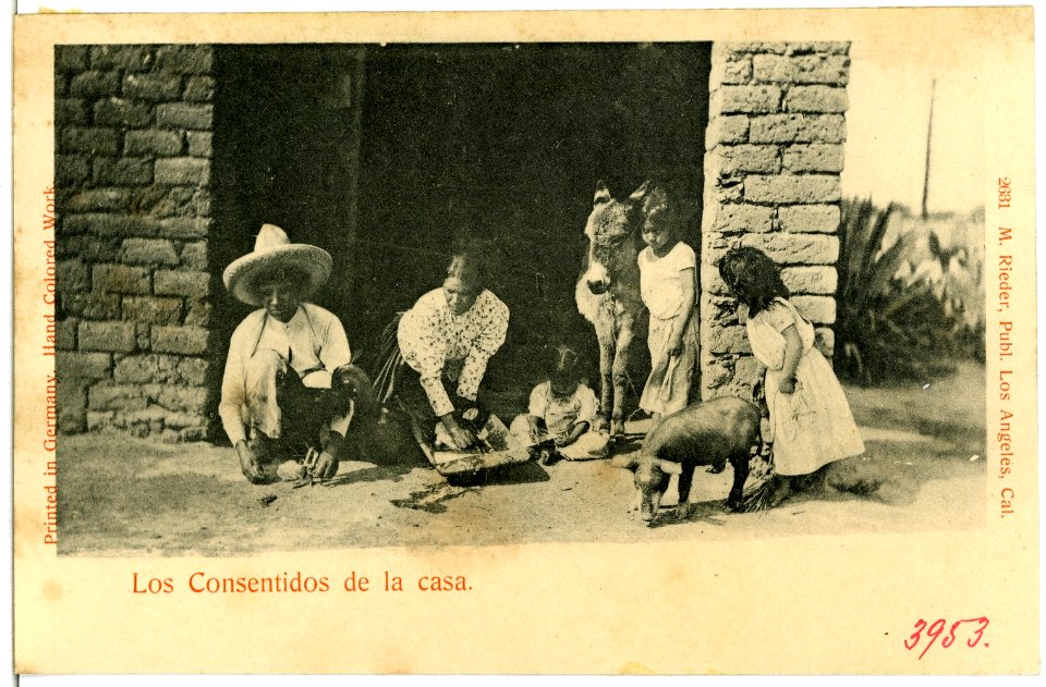 03953--1903-Los Carsentidos de la casa-Brück & Sohn Kunstverlag