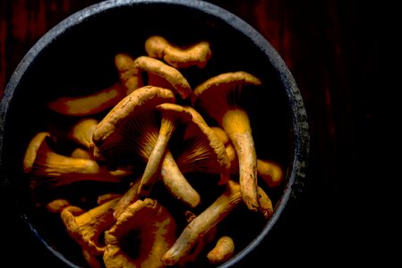 Ingredients container mushrooms photo