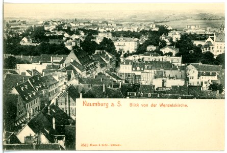 03512-Naumburg-1903-Blick von der Wenzelskirche-Brück & Sohn Kunstverlag