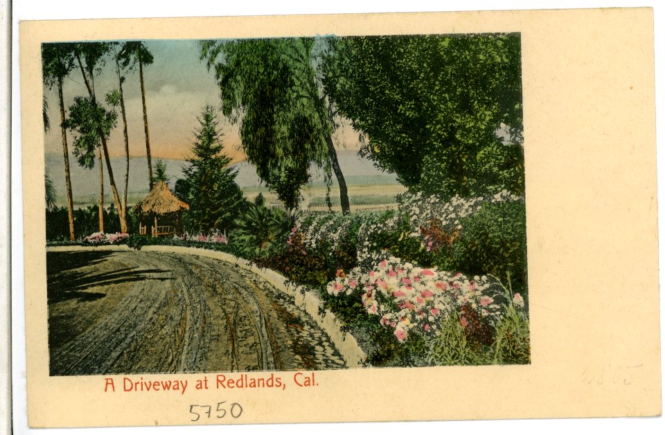 05750-Redlands-1905-A Driveway-Brück & Sohn Kunstverlag