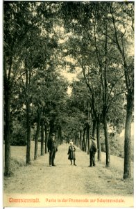 03733-Theresienstadt-1903-in der Promenade zur Schwimmschule-Brück & Sohn Kunstverlag