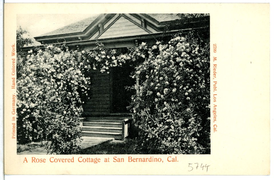 05744-San Bernardino-1905-A Rose Covered Cottage at San Bernardino, Cal.-Brück & Sohn Kunstverlag