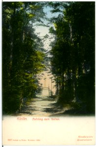 03827-Köslin-1903-Aufstieg zum Gollen-Brück & Sohn Kunstverlag