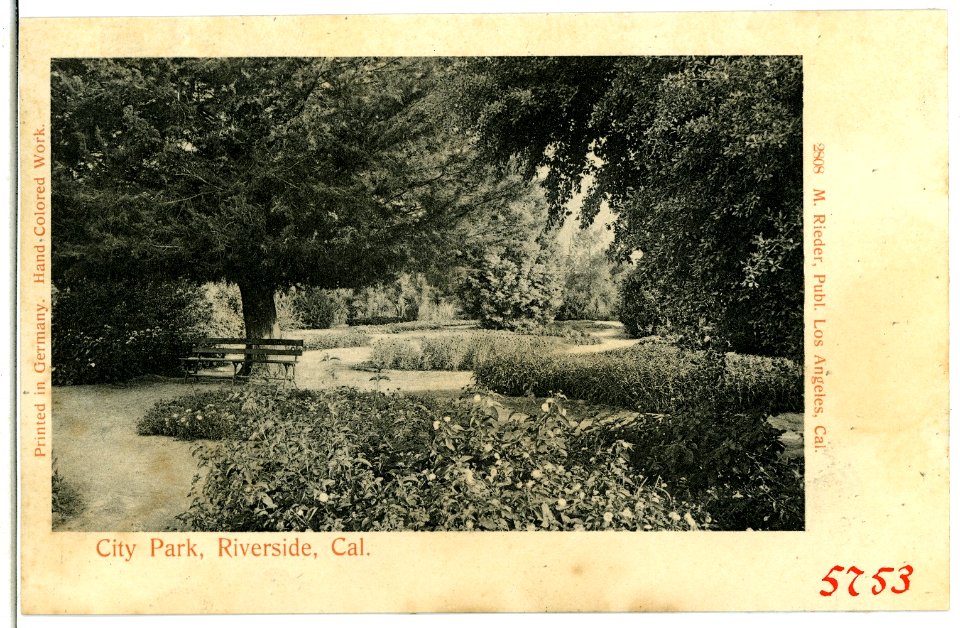 05753-Riverside-1905-City Park Riverside, California-Brück & Sohn Kunstverlag