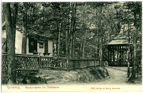 03801-Grimma-1903-Waldschänke im Stadtwald-Brück & Sohn Kunstverlag