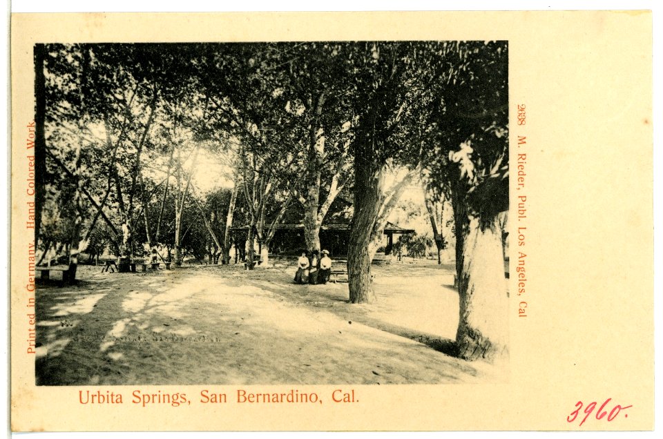 03960-San Bernardino-1903-Urbita Springs-Brück & Sohn Kunstverlag