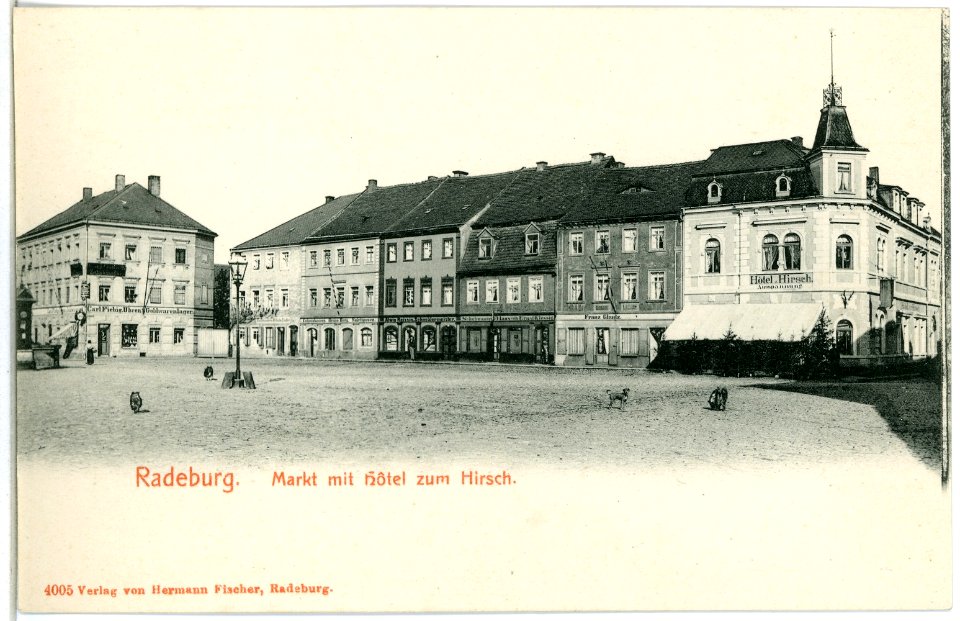 04005-Radeburg-1903-Markt mit Hotel zum Hirsch-Brück & Sohn Kunstverlag