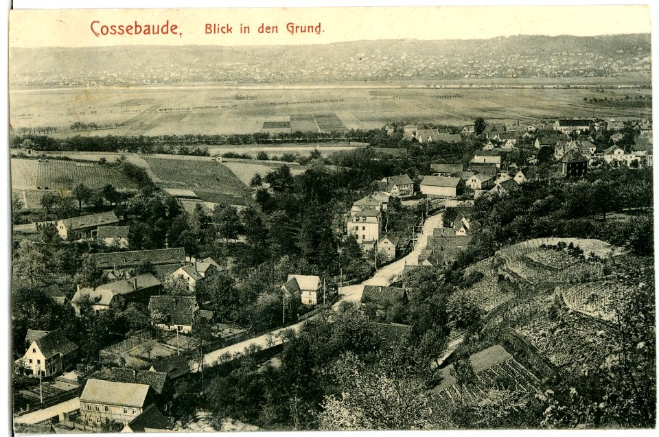 03418-Cossebaude-1903-Blick in den Grund-Brück & Sohn Kunstverlag