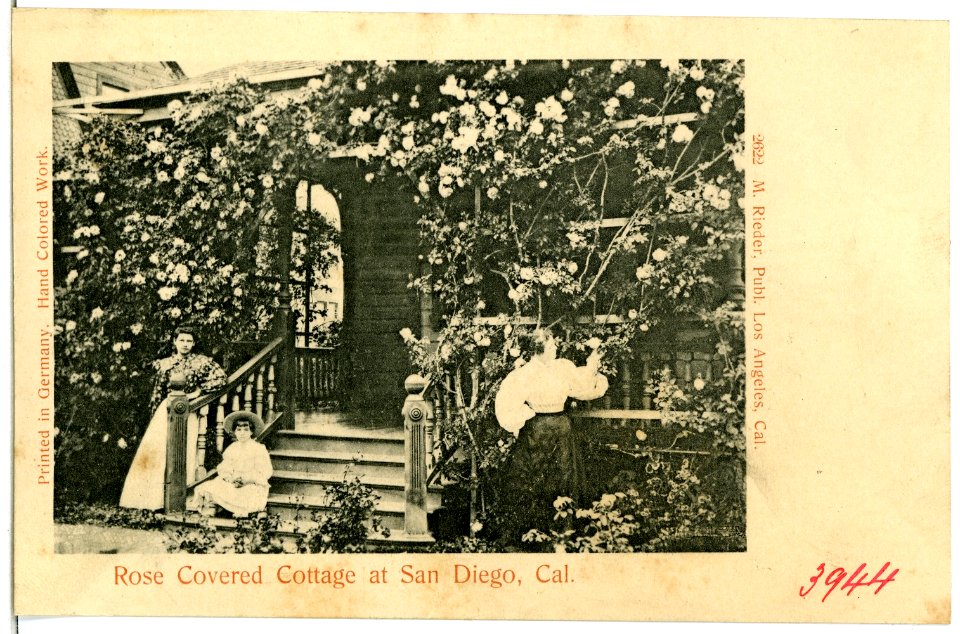03944-San Diego-1903-Rose Covered Cottage at San Diego-Brück & Sohn Kunstverlag