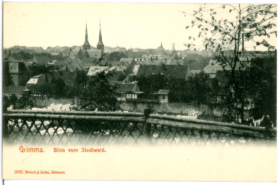 03695-Grimma-1903-Blick vom Stadtwald-Brück & Sohn Kunstverlag