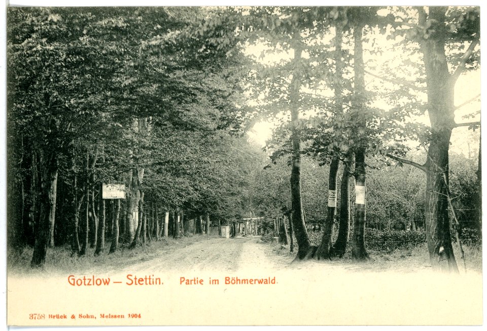 03758-Gotzlow-Stettin-1903-im Böhmerwald-Brück & Sohn Kunstverlag