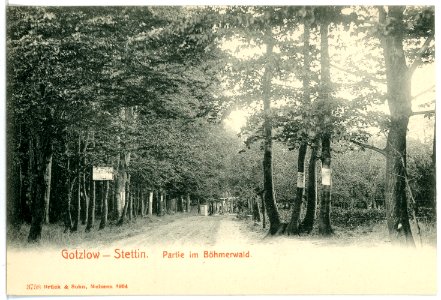 03758-Gotzlow-Stettin-1903-im Böhmerwald-Brück & Sohn Kunstverlag