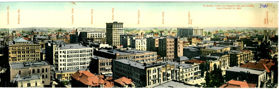 03987-Los Angeles-1903-Panorama Los Angeles-Brück & Sohn Kunstverlag