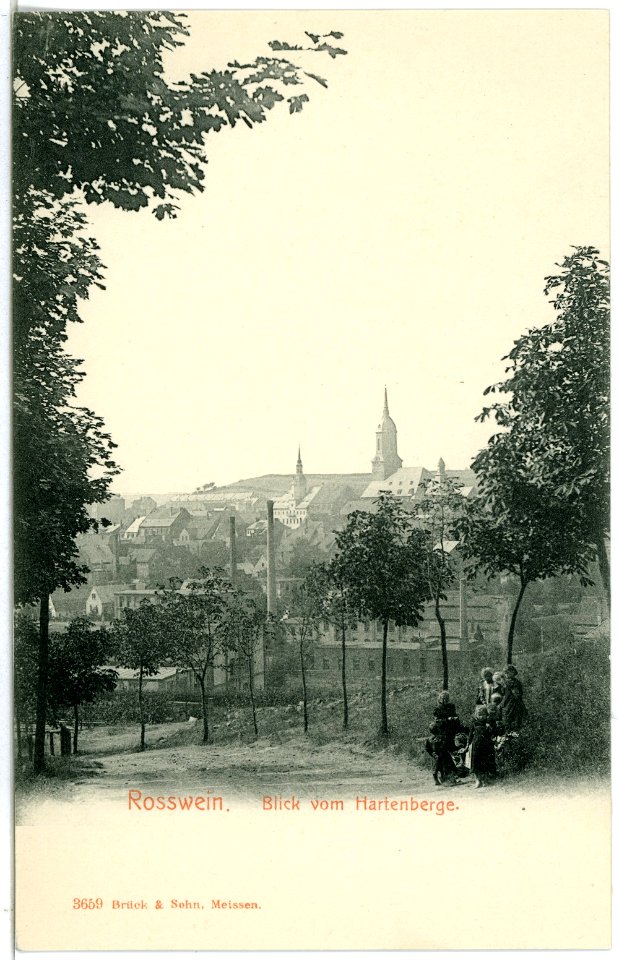 03659-Rosswein-1903-Blick auf die Stadt vom Hartenberge-Brück & Sohn Kunstverlag