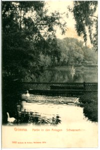 03803-Grimma-1903-in den Anlagen - Schwanenteich mit Schwänen-Brück & Sohn Kunstverlag