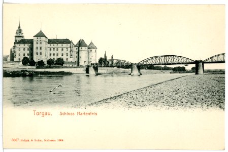 03867-Torgau-1903-Schloß Hartenfels mit Elbebrücke-Brück & Sohn Kunstverlag