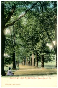 03655-Waldenburg-1903-Park Grünfeld-Brück & Sohn Kunstverlag