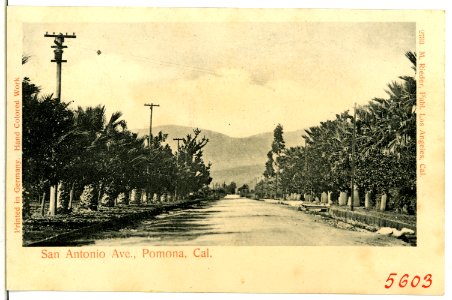 05603-Pomona-1904-San Antonio Ave, Pomona, California-Brück & Sohn Kunstverlag