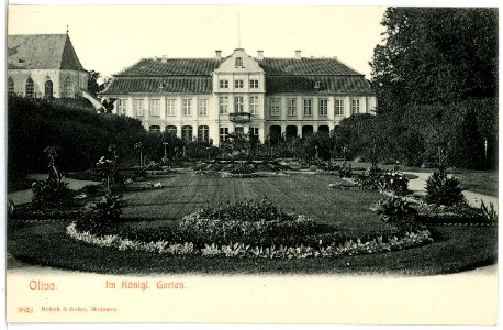 03622-Oliva-1903-im königlichen Garten-Brück & Sohn Kunstverlag