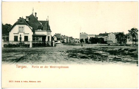 03878-Torgau-1903-Westringstraße-Brück & Sohn Kunstverlag