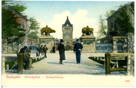 03398-Budapest-1903-Schlachthaus-Brück & Sohn Kunstverlag