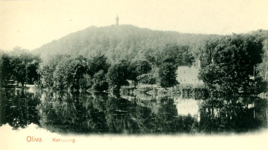03624-Oliva-1903-Karlsberg Brück & Sohn Kunstverlag