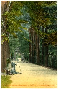 03656-Waldenburg-1903-Park Grünfeld Eingang-Brück & Sohn Kunstverlag