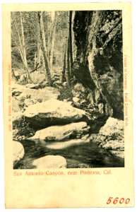 05600-Pomona-1904-San Antonio Canyon near Pomona-Brück & Sohn Kunstverlag