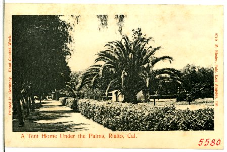 05580-Rialto-1904-A Tent Home Under the Palms Rialto Cal.-Brück & Sohn Kunstverlag