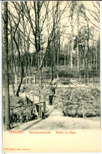 03370-Dresden-1903-Im Park des Garnisonslazarettes-Brück & Sohn Kunstverlag