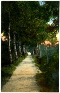 03658-Rosswein-1903-Auf dem Hartenberg-Brück & Sohn Kunstverlag