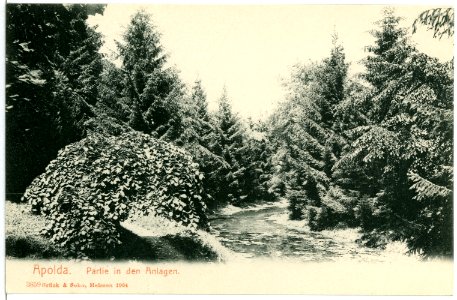 03859-Apolda-1903-in den Anlagen-Brück & Sohn Kunstverlag