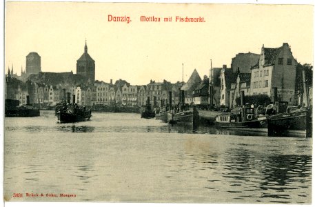 03631-Danzig-1903-Mottlau mit Fischmarkt und Schiffen-Brück & Sohn Kunstverlag