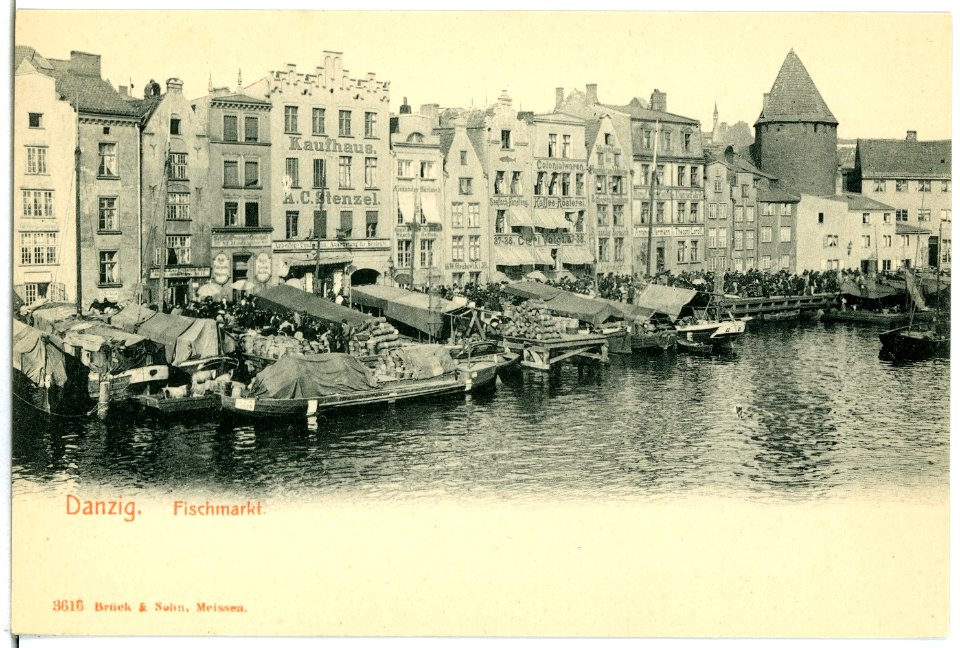 03616-Danzig-1903-Fischmarkt-Brück & Sohn Kunstverlag