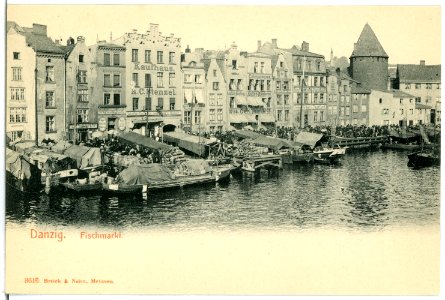03616-Danzig-1903-Fischmarkt-Brück & Sohn Kunstverlag
