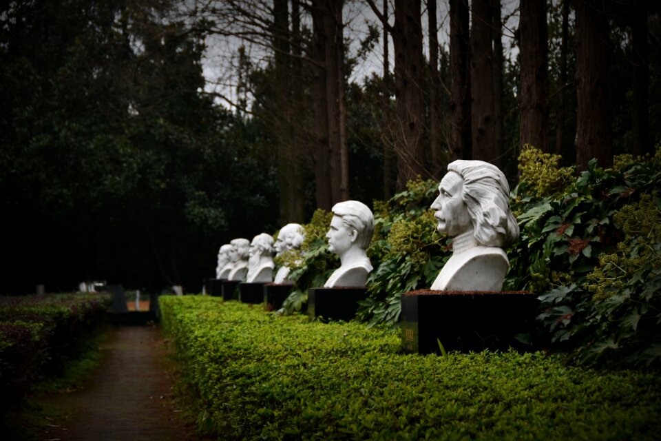 Celebrity forest einstein marie curie