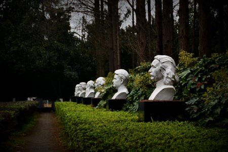 Celebrity forest einstein marie curie