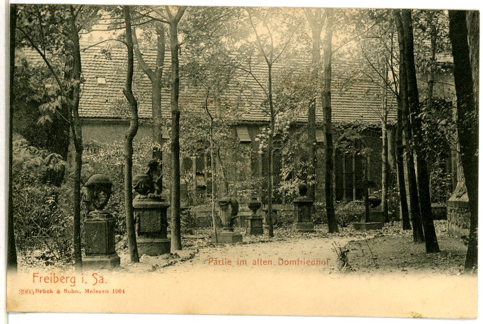 03905-Freiberg-1903-auf dem alten Domfriedhof-Brück & Sohn Kunstverlag