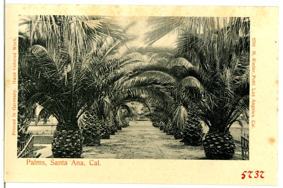 05737-Santa Ana-1905-Palms, Santa Ana-Brück & Sohn Kunstverlag