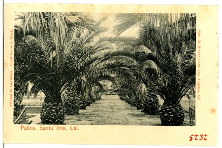 05737-Santa Ana-1905-Palms, Santa Ana-Brück & Sohn Kunstverlag