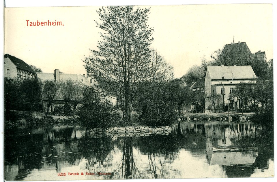 06209-Taubenheim (Klipphausen)-1905-Blick auf Taubenheim-Brück & Sohn Kunstverlag