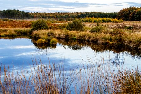 Nature nature reserve moorland