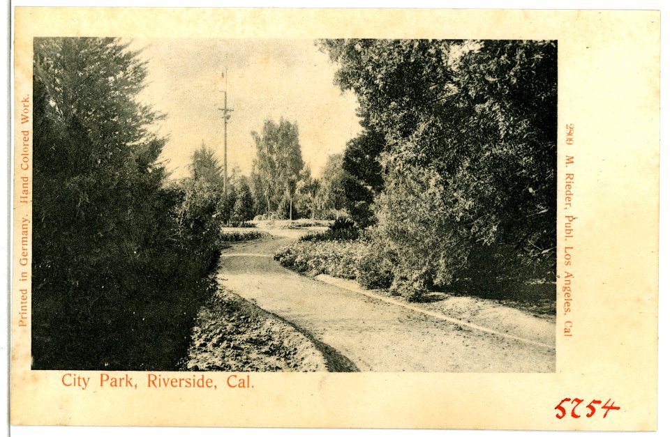 05754-Riverside-1905-City Park Riverside, California-Brück & Sohn Kunstverlag