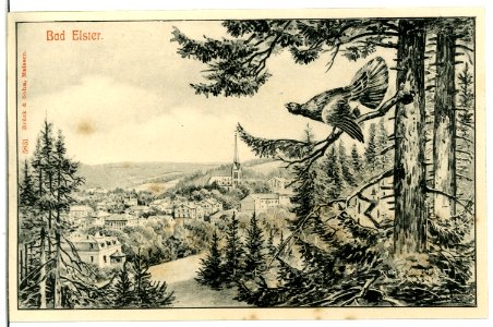 05831-Bad Elster-1905-Blick auf Bad Elster mit Auerhahn-Brück & Sohn Kunstverlag