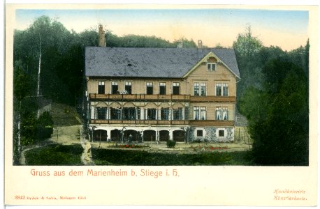 03842-Stiege-1903-Marienheim bei Stiege im Harz-Brück & Sohn Kunstverlag