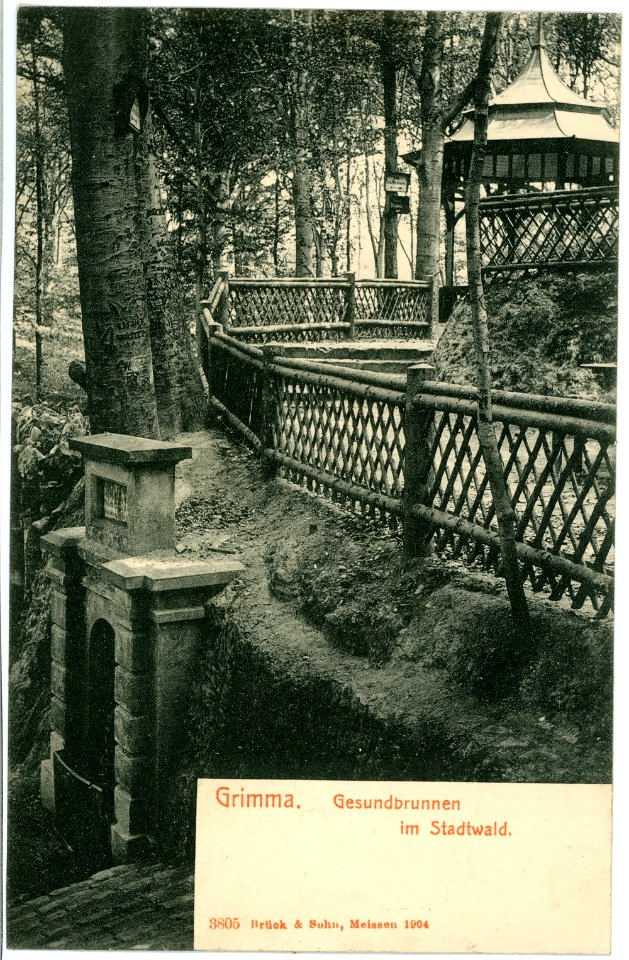 03805-Grimma-1903-Gesundbrunnen im Stadtwald-Brück & Sohn Kunstverlag